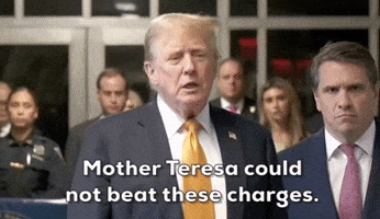 "Mother Teresa could not beat these charges."