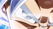 Super Dragon Ball Heroes Mui Goku GIF