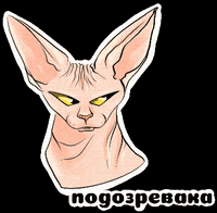 fisart_digital cat cats кот sphinx GIF