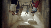 coldplay music friends life flowers GIF