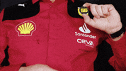 Red Car Smile GIF by Formula Santander
