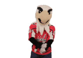 Celebrate Ice Hockey Sticker by NHL