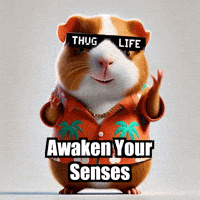 Wisdom GIF by Guinea Gambino