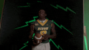 Bison GIF by NDSU Athletics