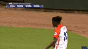 happy fc cincinnati GIF by USL