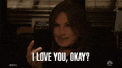 Episode 1 Nbc GIF by Law & Order