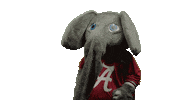 Alabama Football Ua Sticker by The University of Alabama