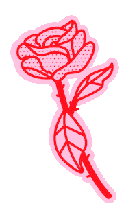 Flower Love Sticker by facetune