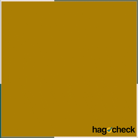 hagocheck giphyupload fact fact checking hagocheck GIF