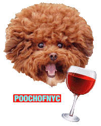 Red Wine Party Sticker
