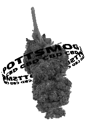 Nutzhanf Sticker by PottSmog