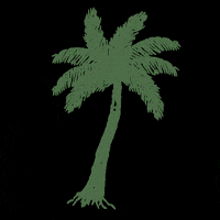 ashleyroseclothing vacation island tropical hawaii GIF
