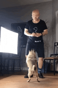 chicagotaptheatre happy dance fun dogs GIF