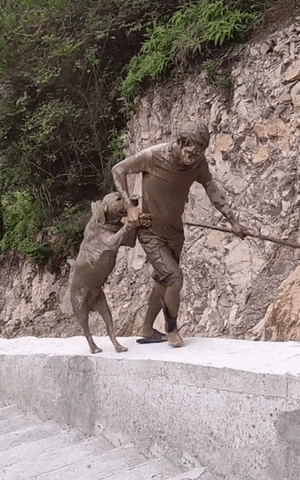 cuteanimalland giphyupload GIF