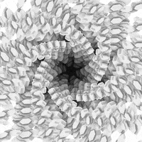 Mesmerizing Black And White GIF by xponentialdesign