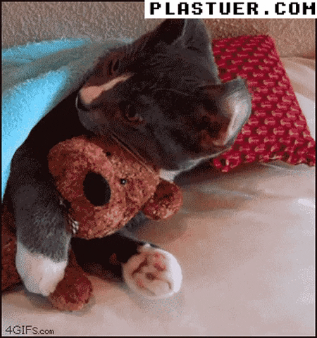 giphyupload GIF