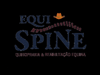 GIF by OUTLAW EQUINE VET