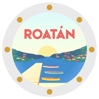 Cruiseship Sticker by Virgin Voyages