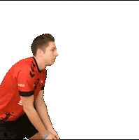 TVHoerde sports sport ball volleyball Sticker