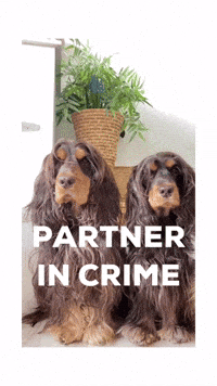 You And Me Bff GIF