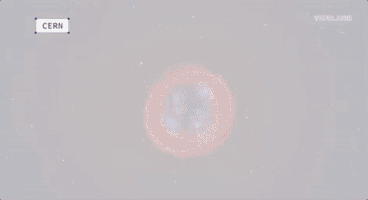 viceland GIF by Motherboard