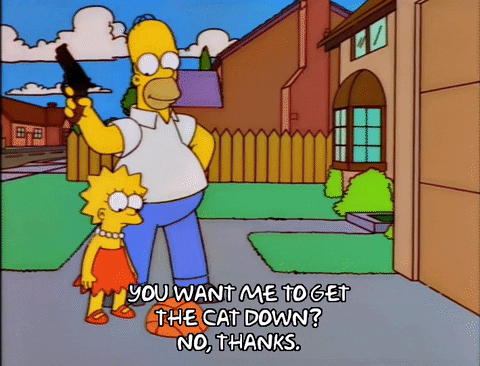 homer simpson GIF