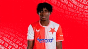 Football Celebration GIF by SK Slavia Praha