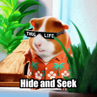 GIF by Guinea Gambino