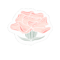 January Carnation Sticker