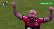 Serie A Fla GIF by Canal Premiere