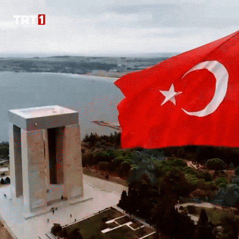 Flag Abide GIF by TRT
