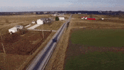 indiana GIF