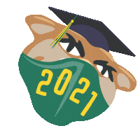 Mask Class Of 2021 Sticker by University of Vermont