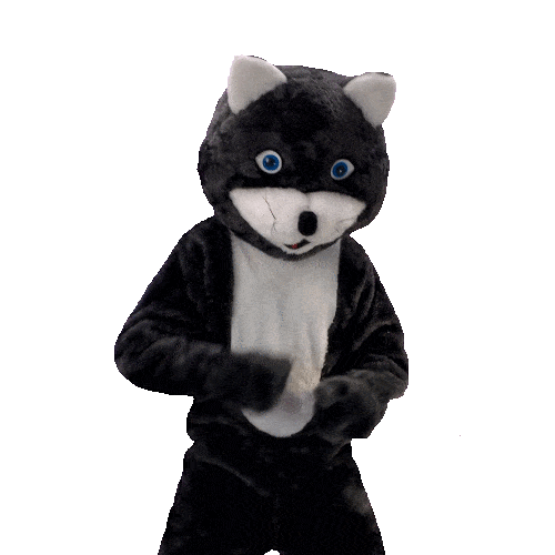 Aracaju Sergipe Sticker by Kitty Lima