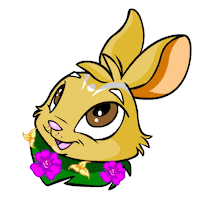 Laugh Bunny Sticker by Neopets