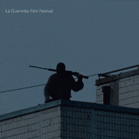 Good Morning Hello GIF by La Guarimba Film Festival