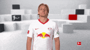Red Bulls Yes GIF by Bundesliga