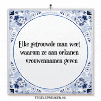 Humor Nl GIF by Tegelspreuken.nl