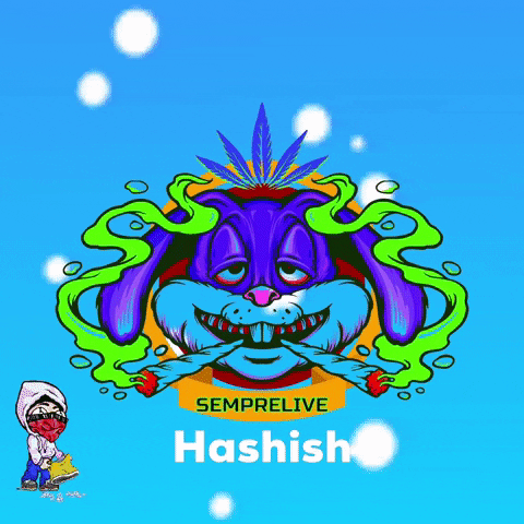 ValentinoDesigner_Kiefstudio giphyattribution GIF