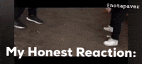 Paver GIF