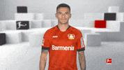 Bayer 04 No GIF by Bundesliga