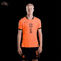 Fifa World Cup Uefa GIF by Respective