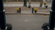 Arrive Here I Am GIF by Blue Ice Pictures