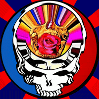 GIF by Steve Konklin
