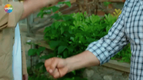 Ismail Demirci GIF by Show TV