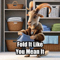 GIF by Radiantelope