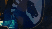 Flag Hype GIF by TeamLiquid
