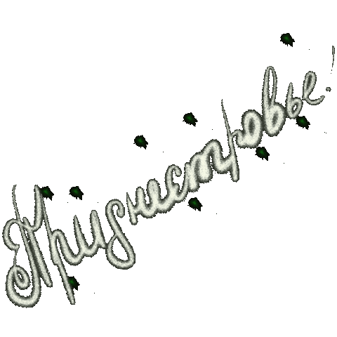 Anechkaaaaaa giphyupload giphystrobetesting новый год пмр Sticker