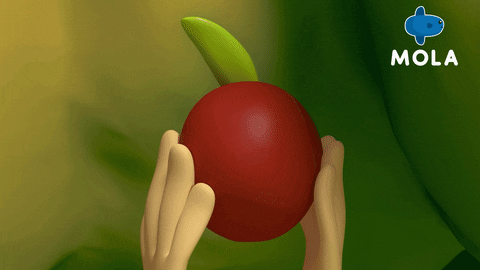 Animation Cartoon GIF by Mola TV Kids