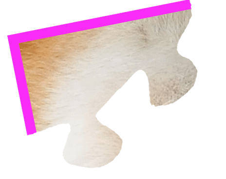 Puzzle Shiba Sticker